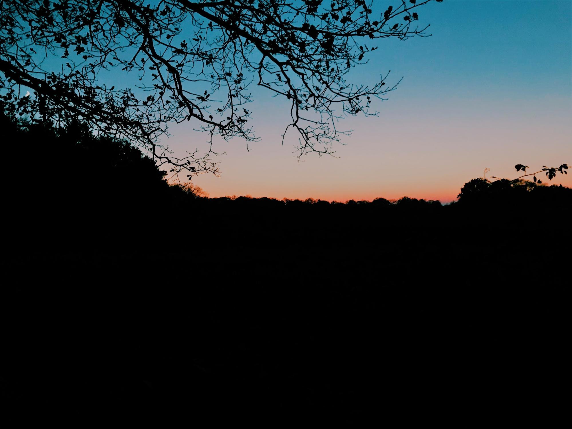 image3.jpg