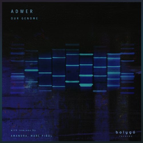 PREMIERE: Adwer - Recombinant (Amandra Remix)[Bolygó Records]