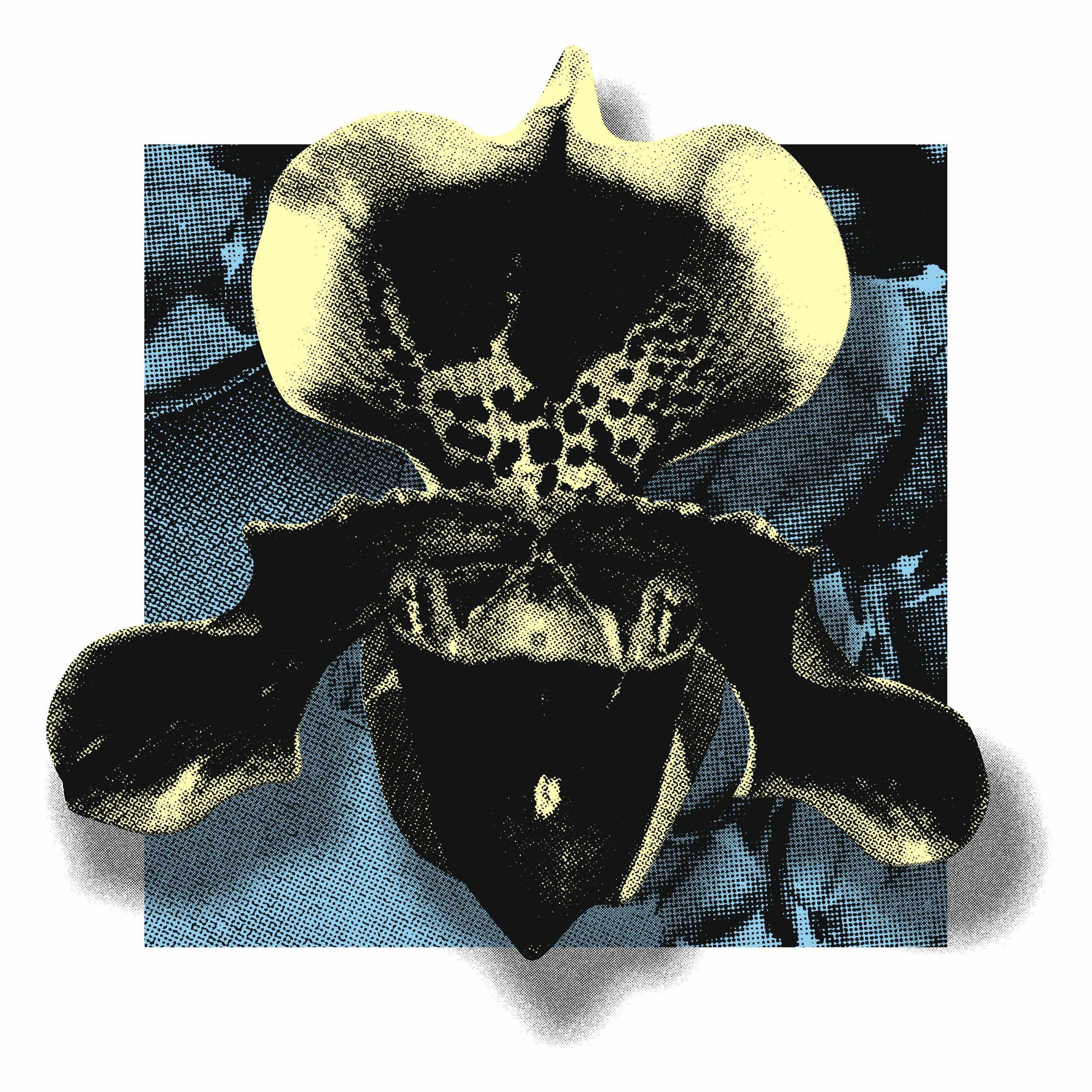 PREMIERE: Luna Ludmila - Sway [SoHaSo]