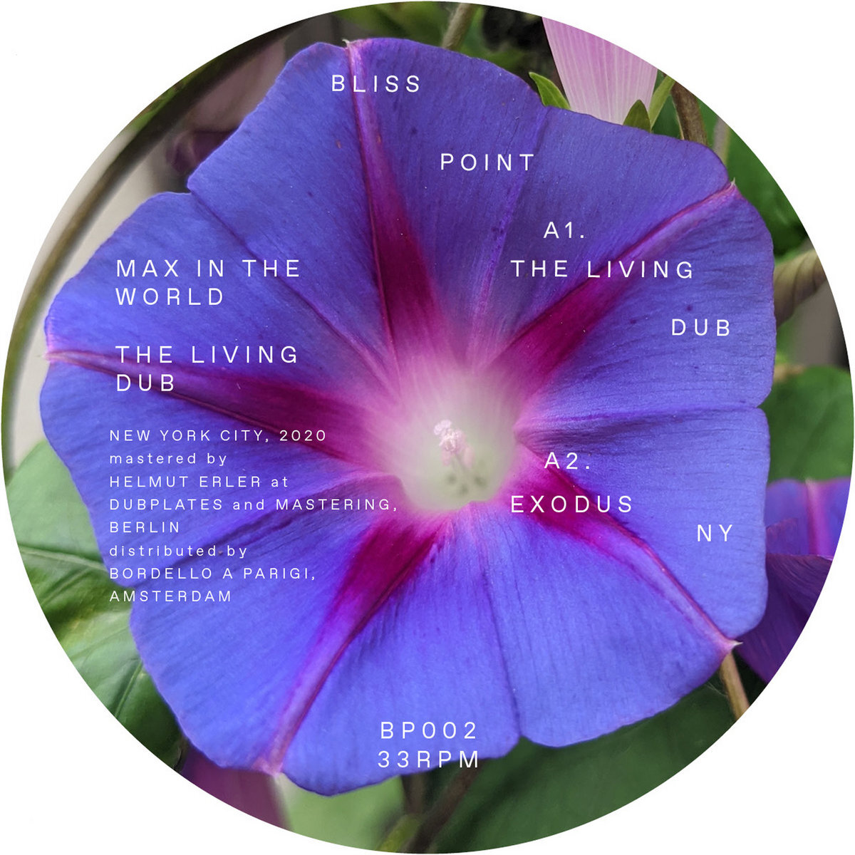 TRACK OF THE MOMENT: Max In The World - The Living Dub [Bliss Point]